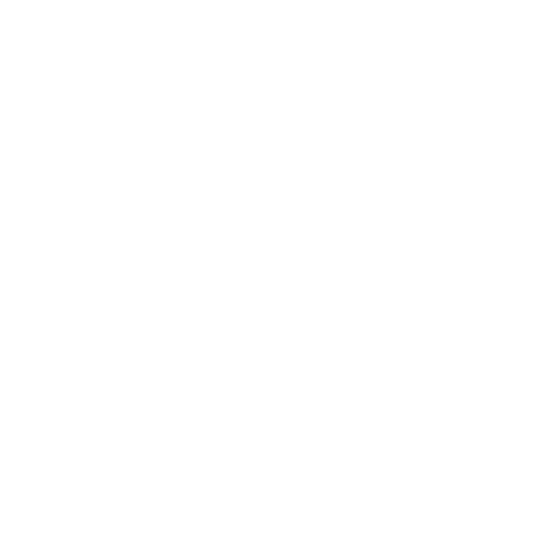 Software & System Integration